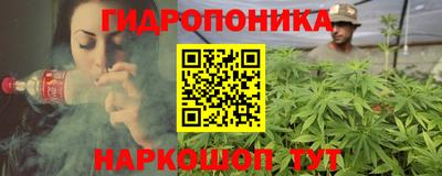 трава Кимры