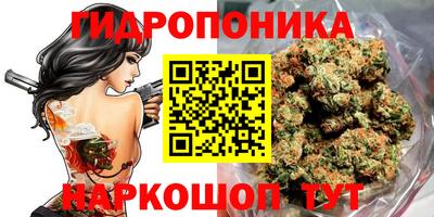 mdma Кингисепп