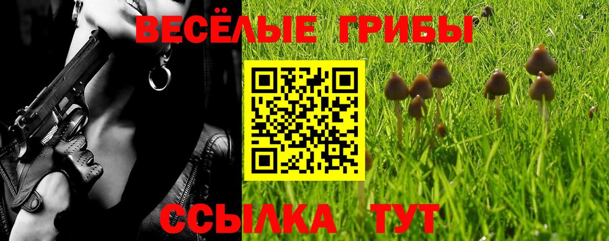 Кызыл  Псилоцибиновые грибы MAGIC MUSHROOMS  Вход с VPN 